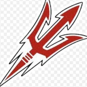 Meet your Posher, Ronin